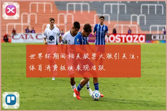世界杯期间相关股票大涨引关注,体育消费板块表现活跃