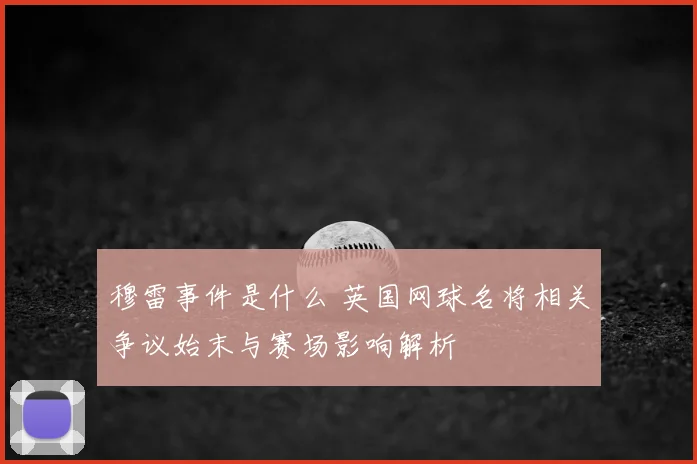 穆雷事件是什么 英国网球名将相关争议始末与赛场影响解析