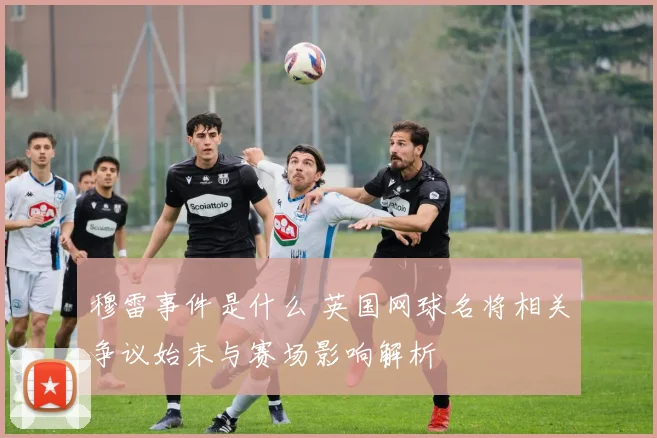 穆雷事件是什么 英国网球名将相关争议始末与赛场影响解析