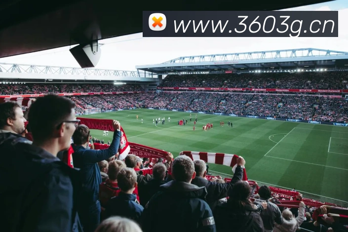 开云kaiyun服务体系